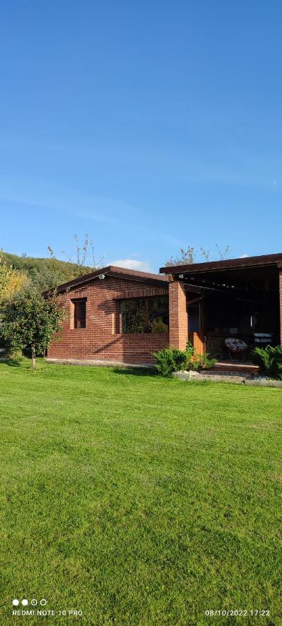 Villa View Cozia Călimăneşti Exterior foto