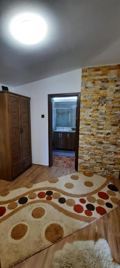 Villa View Cozia Călimăneşti Exterior foto