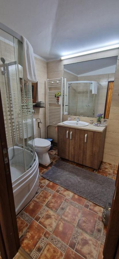 Villa View Cozia Călimăneşti Exterior foto